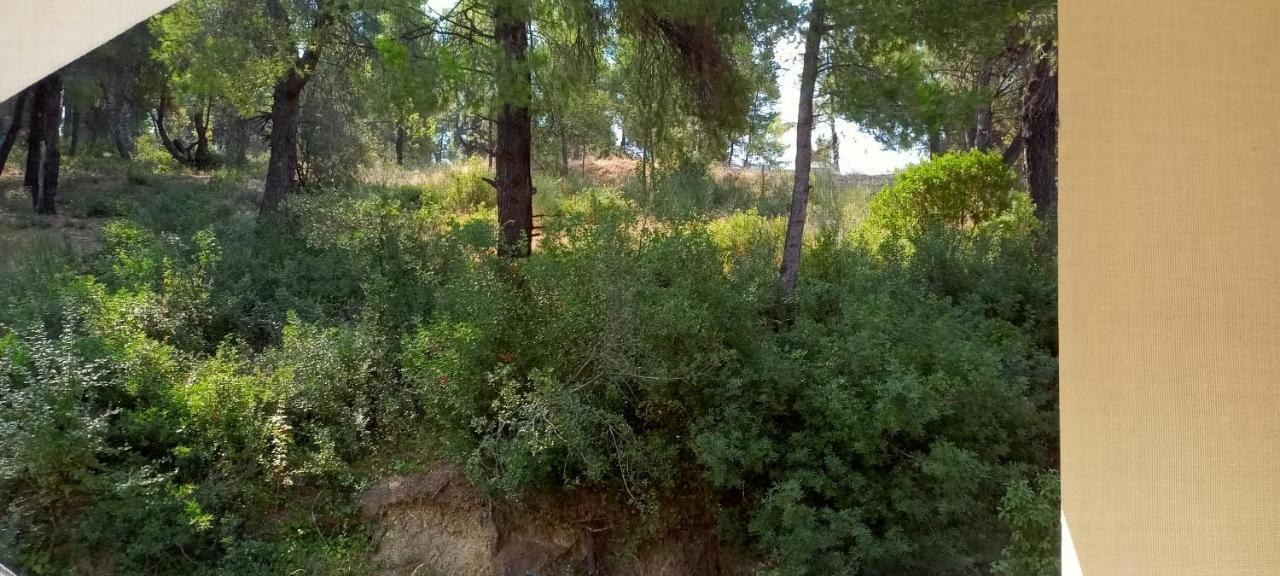 Siviri Sea & Forest-Cozy Apartment With Garden & Nature Views Eksteriør billede