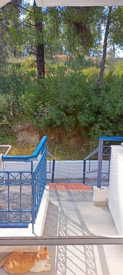 Siviri Sea & Forest-Cozy Apartment With Garden & Nature Views Eksteriør billede